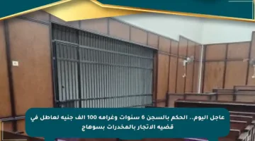 عاجل اليوم.. الحكم بالسجن 6 سنوات وغرامة 100 ألف جنيه لعاطل في قضية الاتجار بالمخدرات بسوهاج
